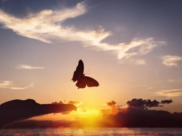 Main humaine qui lance l'envol d'un papillon sur un joli paysage. Evolution et transformation personnelle.